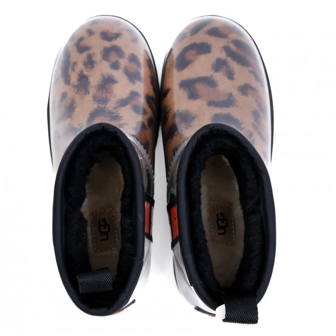 Classic Clear Mini — Leopard
