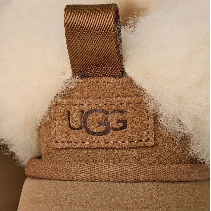 Tazzelle — Chestnut