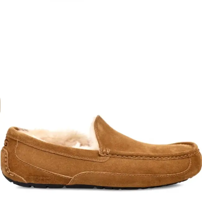 Ascot Chestnut — Chestnut